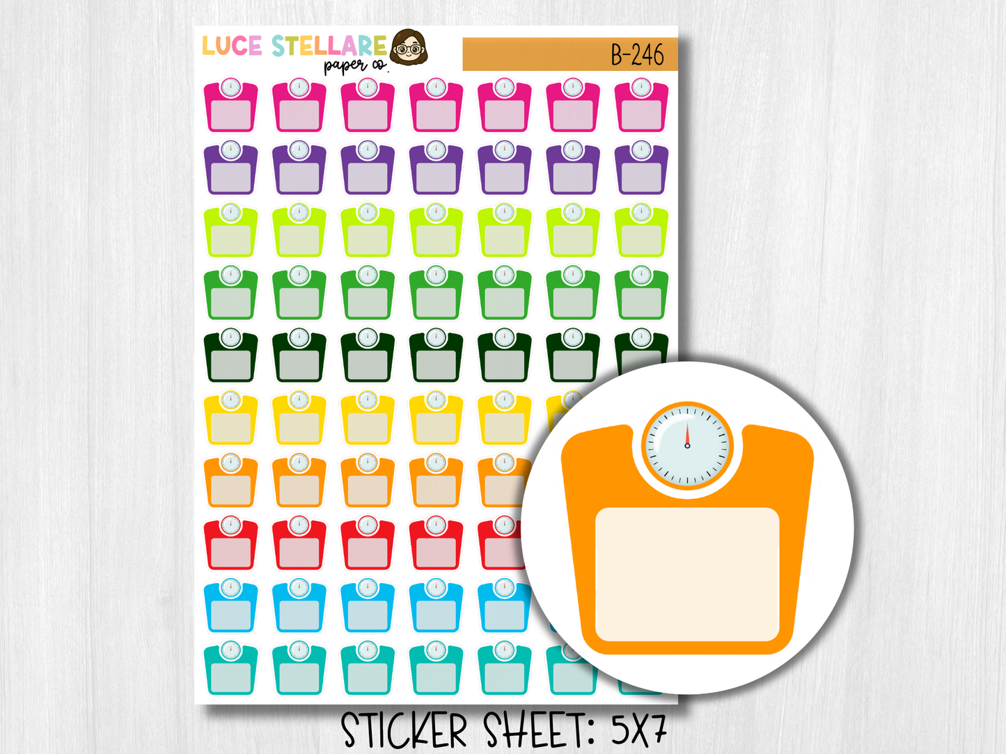Weight Tracker Planner Stickers / B-246