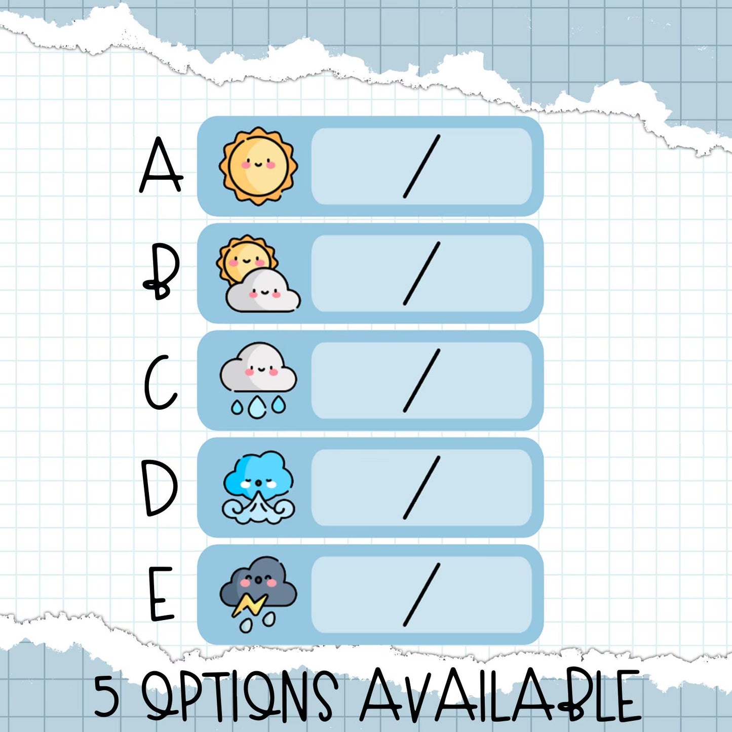 Weather Planner Stickers / D-62